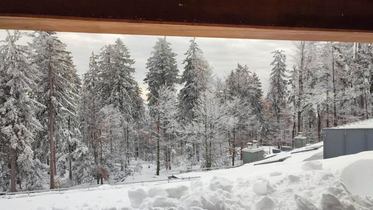 Pohorje Pearl Lux, 2-Floor Apartment Hočko Pohorje Εξωτερικό φωτογραφία